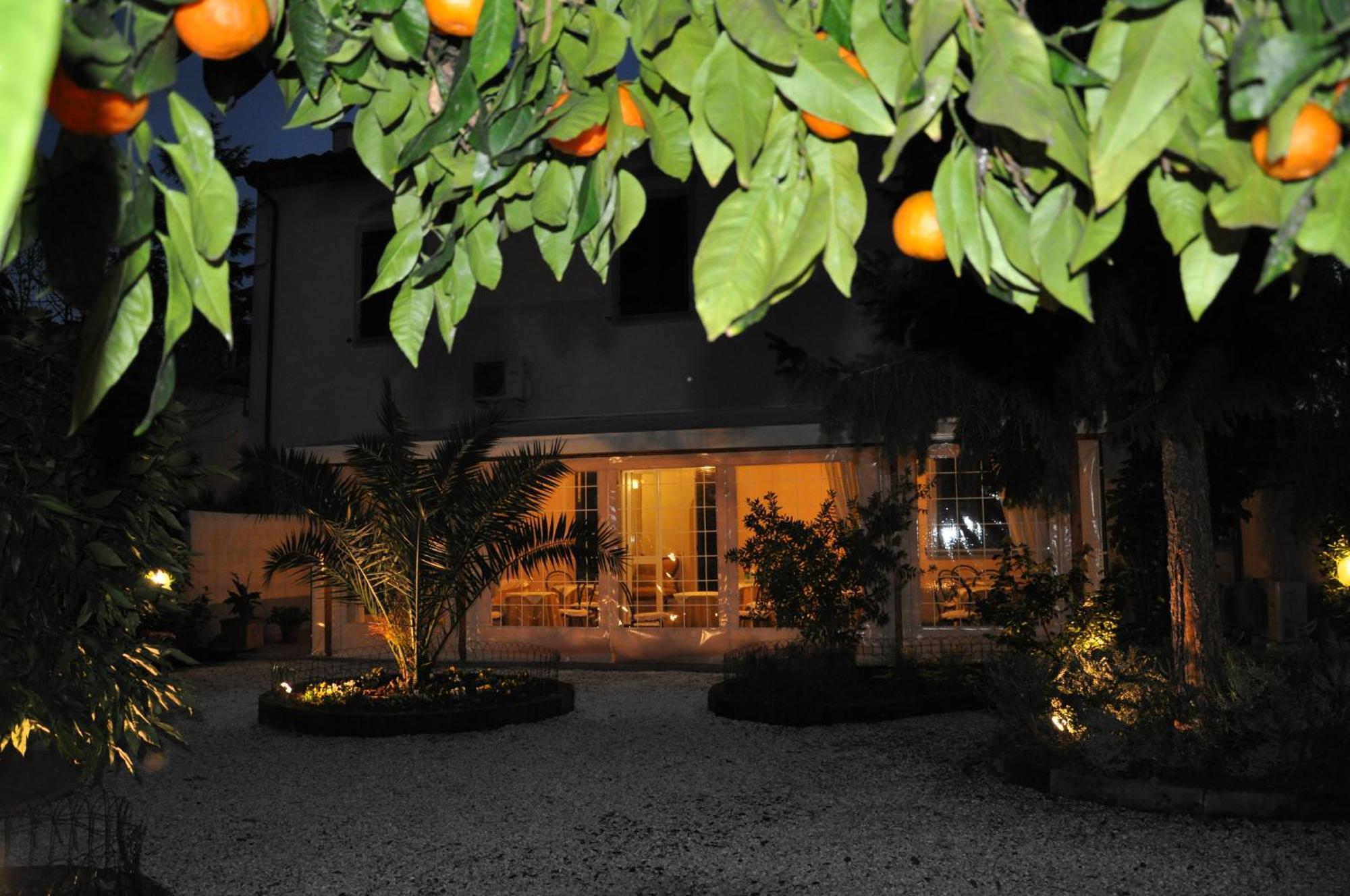 Il Mattino Ha L'Oro In Bocca Bed & Breakfast Pisa Ngoại thất bức ảnh